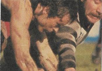 1980 Scanlens VFL #168 Gary Malarkey Back